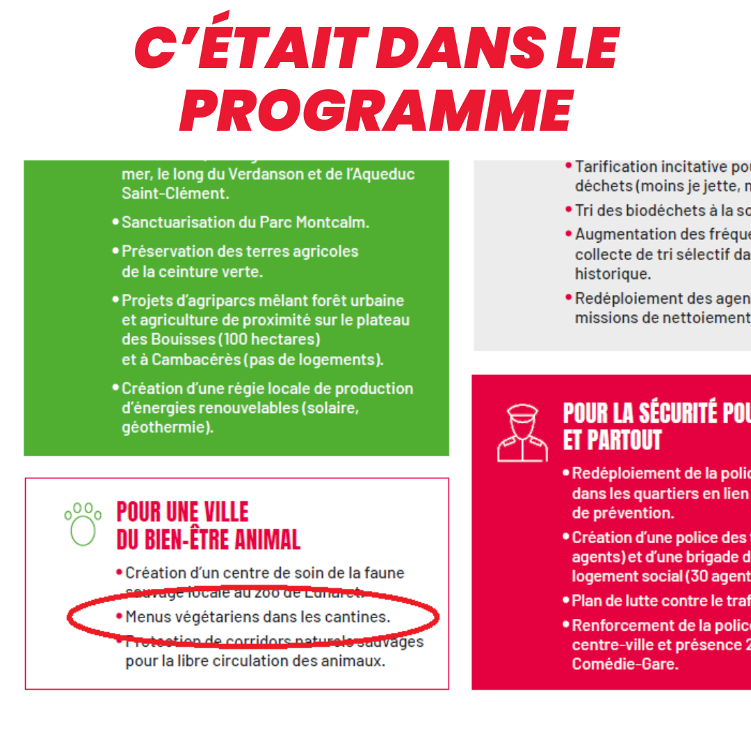 menus végétariens programme