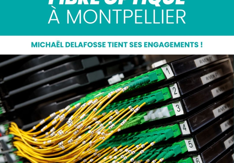 Fibre montpellier
